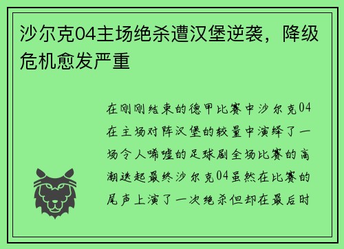 沙尔克04主场绝杀遭汉堡逆袭，降级危机愈发严重