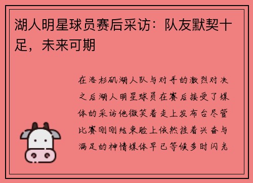 湖人明星球员赛后采访：队友默契十足，未来可期