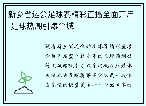 新乡省运会足球赛精彩直播全面开启 足球热潮引爆全城